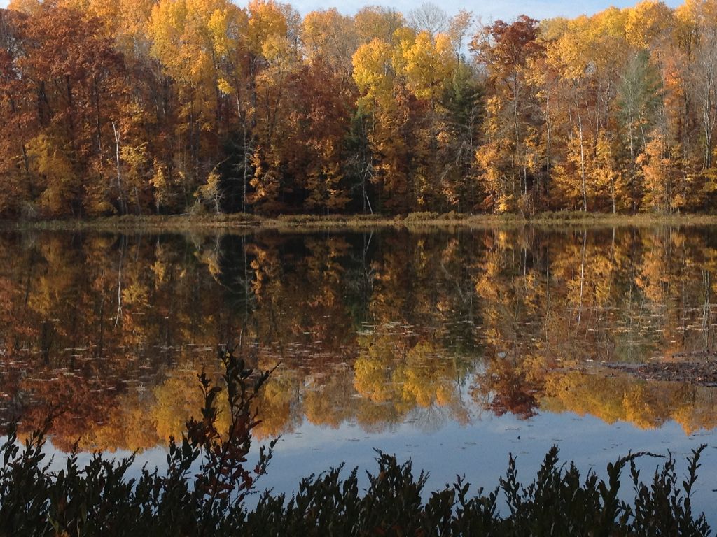 Fall Reflections, photography